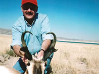 Big Game Antelope Hunting Photo