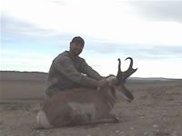 Pronghorn Antelope Wyoming Outfitter Service
