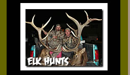 Hunt Big Game Elk in Wyoming Guided Hunting Vacations and Trips