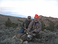 Mule Deer Guided Hunt Tours