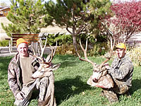 Guided Mule Deer Hunting Trips