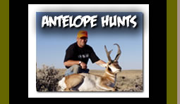 Rocky Mountain and Wyoming Antelope Hunts Guided Trips