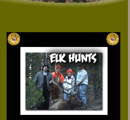 Trphy Big Game Elk Hunts in the Rocky Mountains of Wyoming