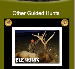 Trophy Elk Hunting Trips in Wyoming