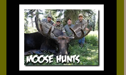 Guided Moose Hunting Trips in Wyoming