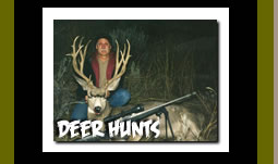Hunt Big Game Antelope  in Wyoming Guided Hunting Vacations and Trips
