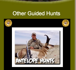 Antelope Hunting Trips in Wyoming