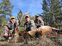 Hunting for Elk in the Rocky Mountains of Wyoming