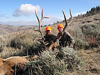 Elk Hunts with Thunder Ridge Outfitters in Casper, Wyoming
