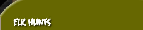 Rocky Mountain Elk Hunting Trips