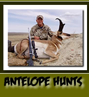 Deer hunting trips for big game hunters in Wyoming Thunder Ridge Outfitters