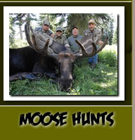 Guided Moose Hunting Vacations in Casper, Wyoming