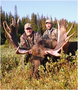 Moose Hunting Casper, Wyoming