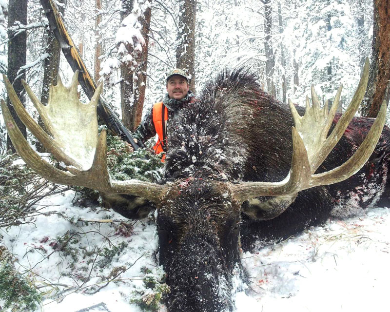 Moose Hunts