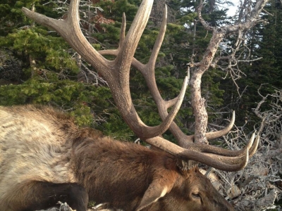 Thunder Ridge Outfitters Elk-Hunt 051