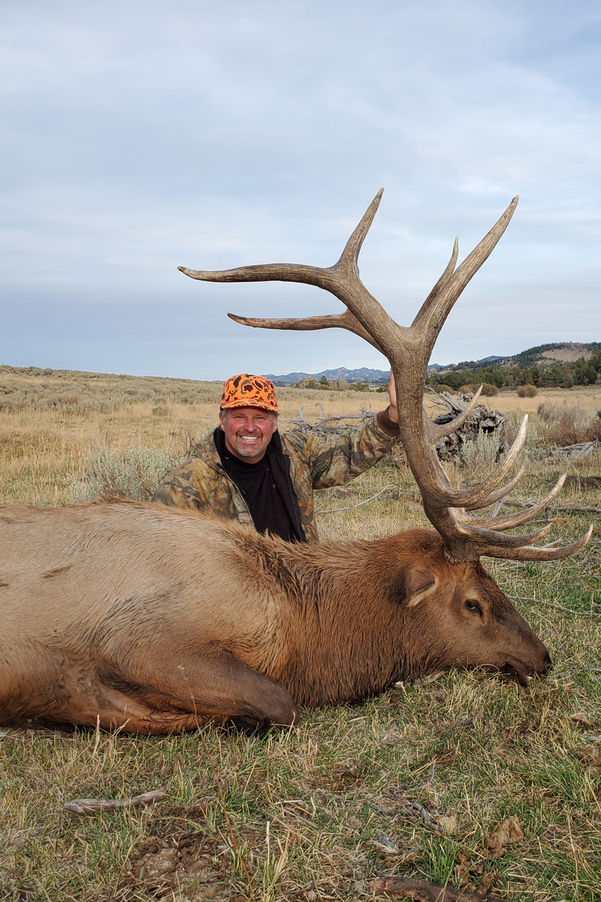 Elk Hunts