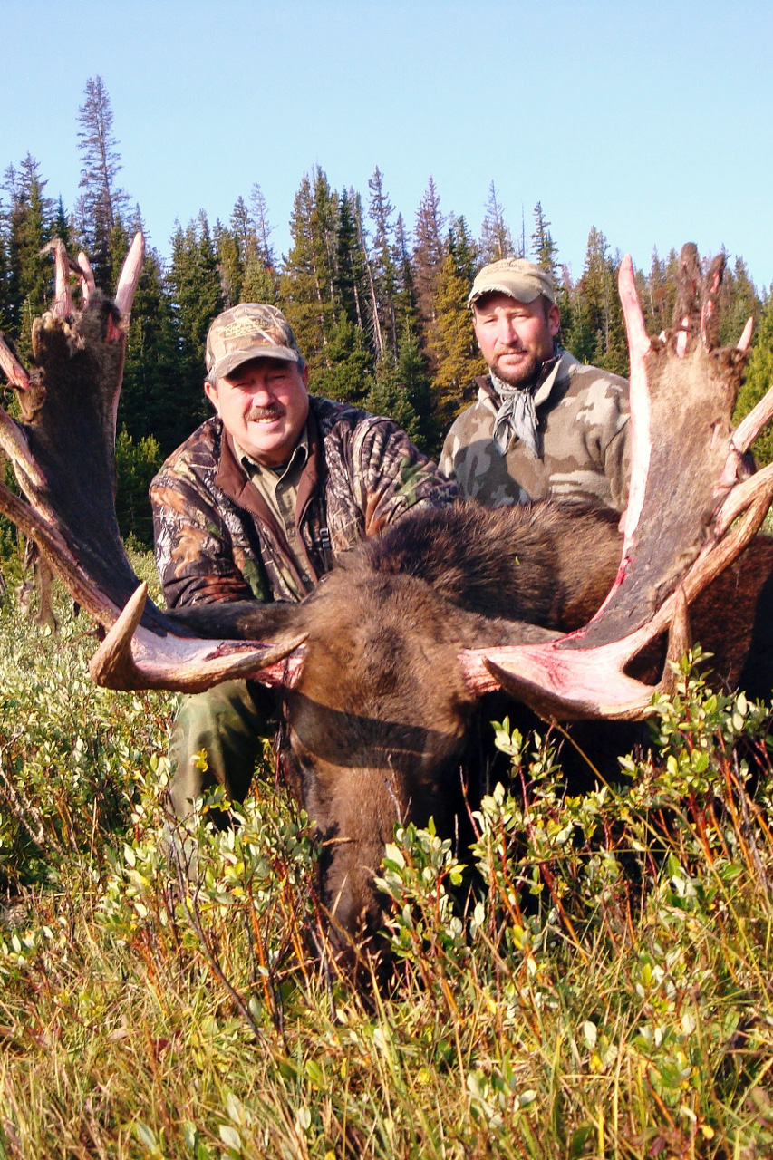 Moose Hunts